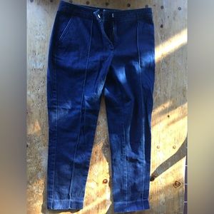 Lands End pleated work jeans. Slightly cropped.